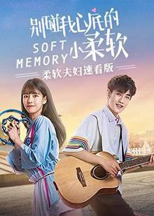 柔软夫妇速看版