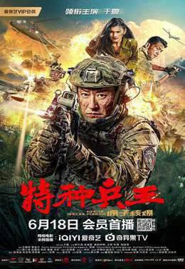 特种兵王之原子核爆
