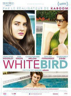 暴风雪中的白鸟