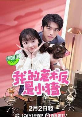 我的老板是小猪