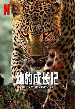 幼豹成长记